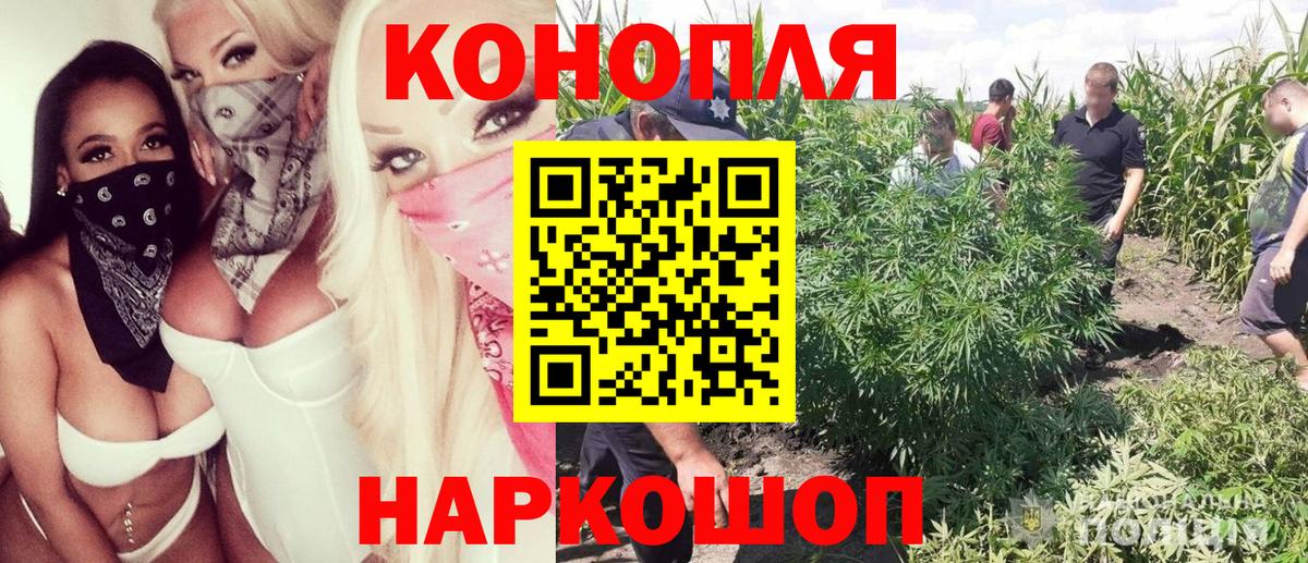 Конопля MAZAR Костомукша